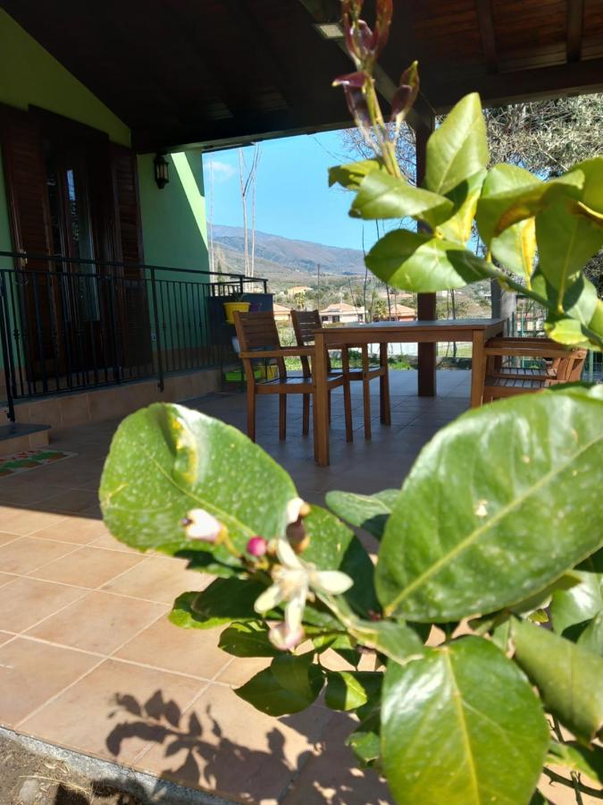 Etna Green House Villa Zafferana Etnea Exterior foto