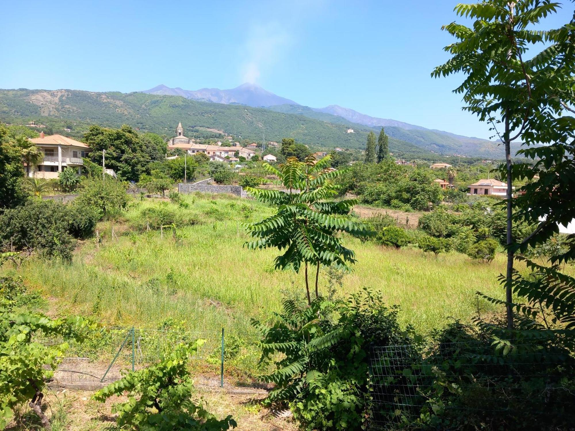 Etna Green House Villa Zafferana Etnea Exterior foto